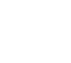 Partner icon-[Leadinfo]-2025
